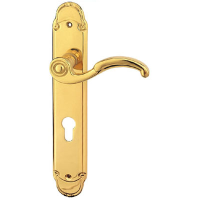Brass Handle with Plate
